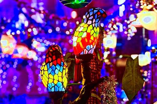 Sally O’s - Baltimore, MD