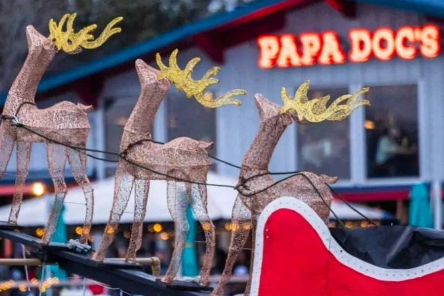 Papa Docs - Lake Wylie, SC