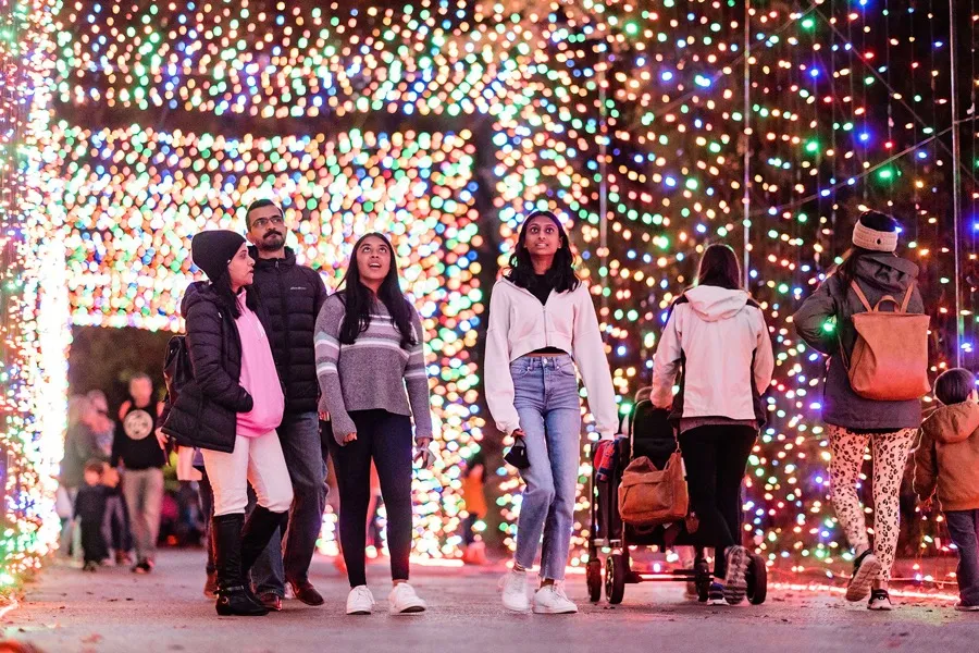 Zoolights - Memphis, TN