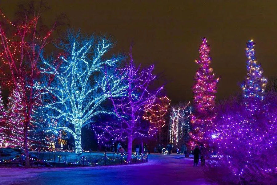 Zoolights - Winnipeg, Canada