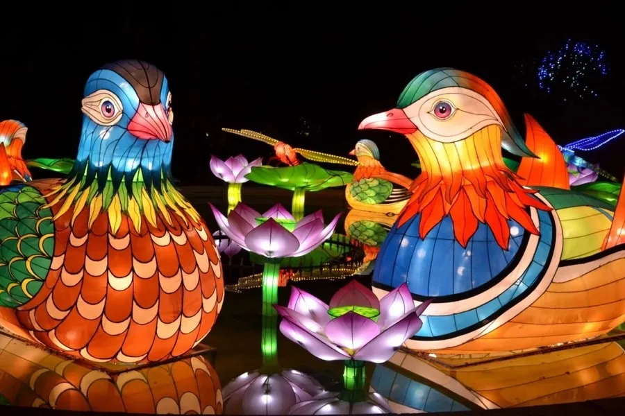 IllumiNights - Atlanta, GA