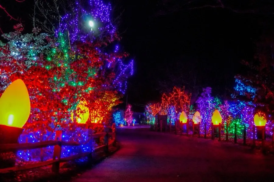 Holiday Lights - Providence, RI