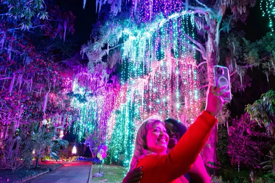 Dazzling Nights - Orlando, Florida