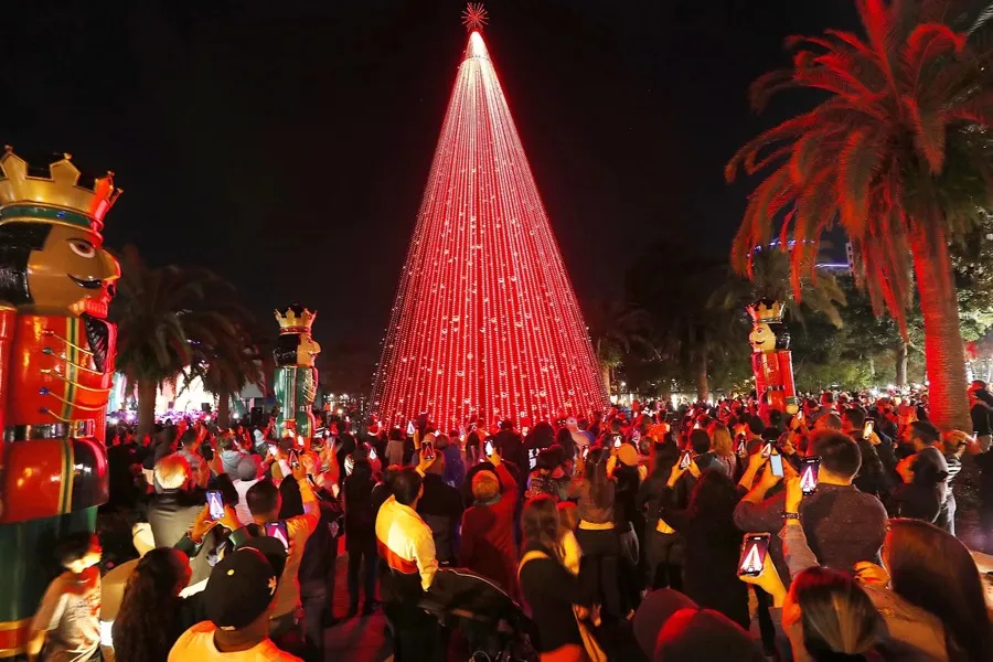 Eola Wonderland Christmas Tree Show - Orlando, FL