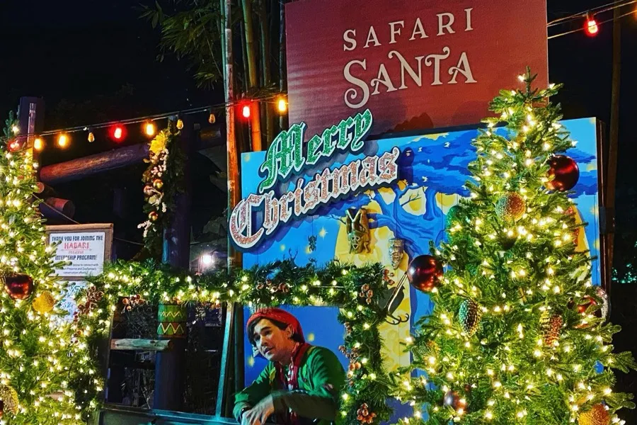 Christmas in the Wild, TampaZoo - Tampa, FL