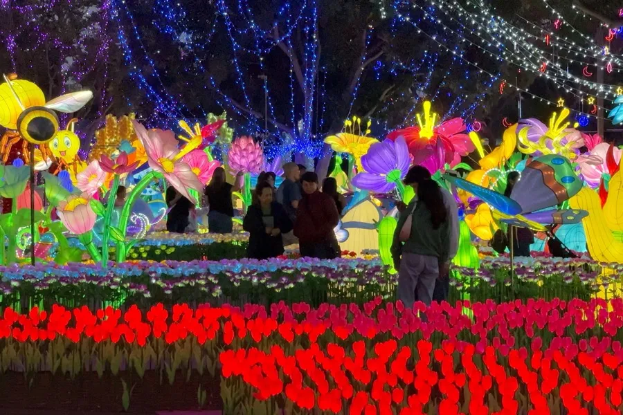 Imaginarium - Sacramento, CA