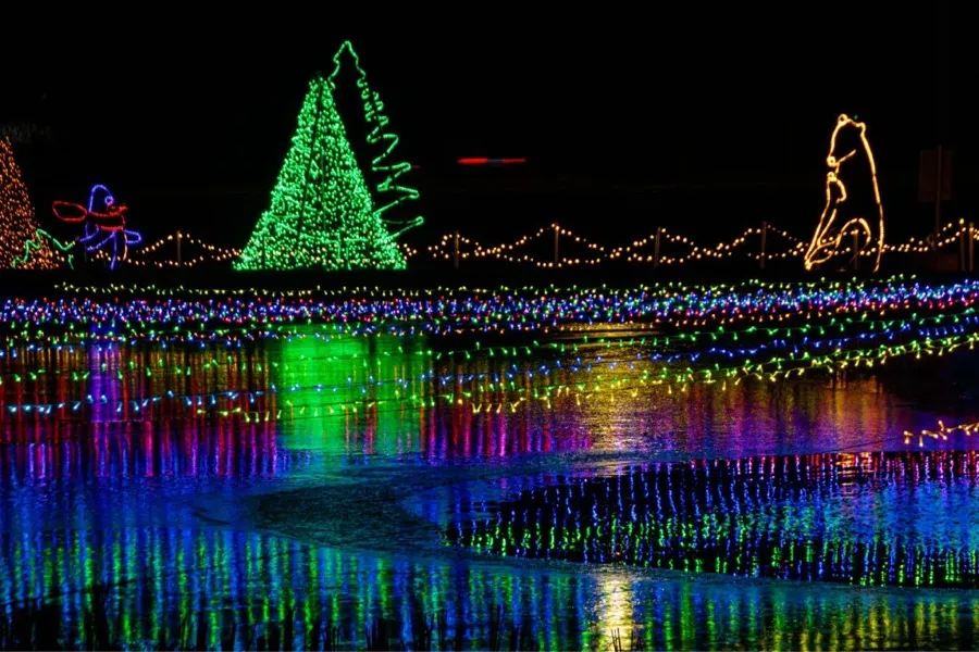 Winter Wonderscape at Reiman Gardens Ames, IA