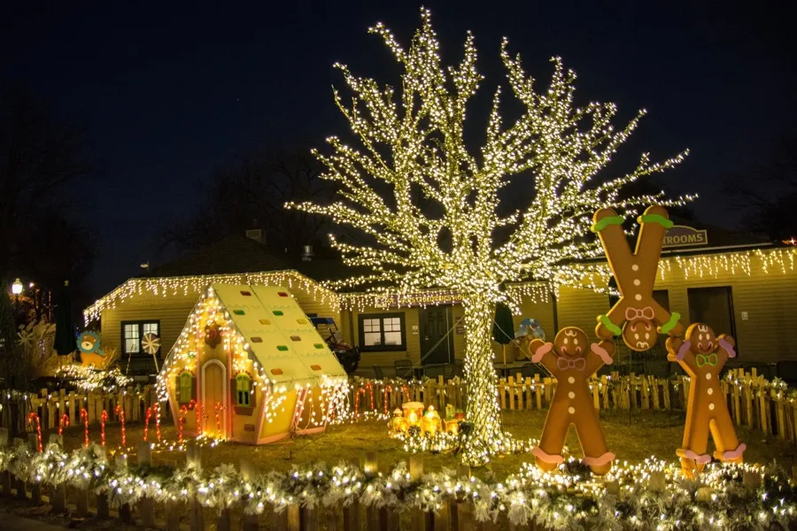 Wild Lights at the Saint Louis Zoo - St. Louis, MO