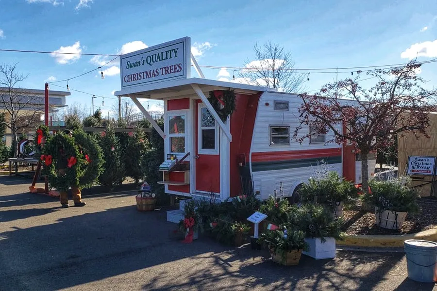 Swan's Quality Christmas Trees: Fresh Trees, Wreaths and Garland - Chicagoland Area
