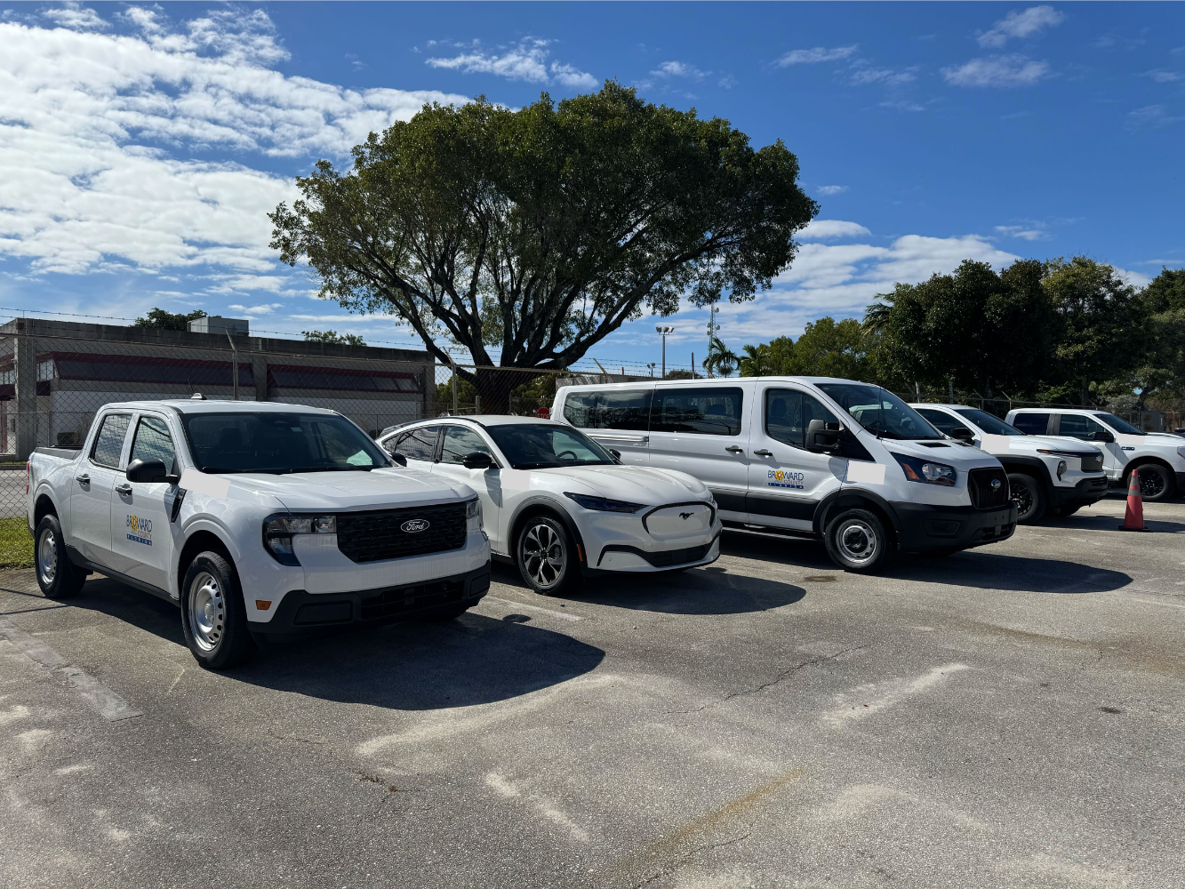Broward County's lineup of clean, white vehicles.