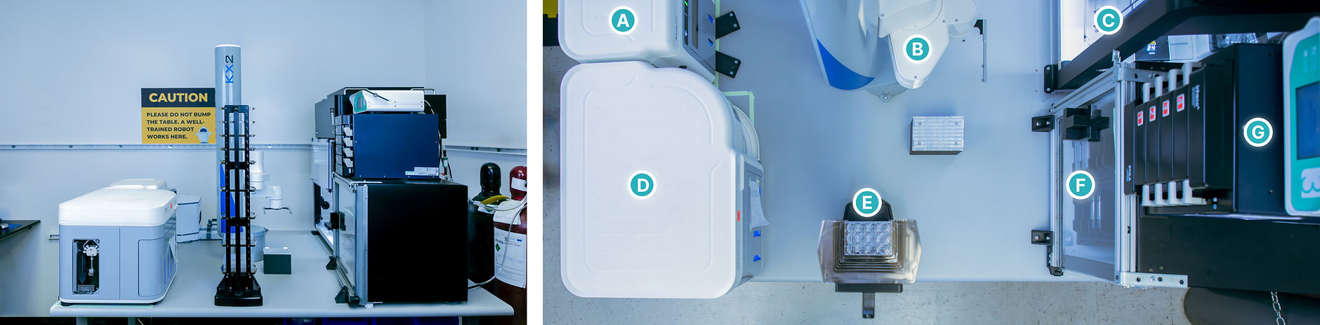 Figure 1. The Monomer Automation Platform for T- cell culturing. (left) Setup of the Monomer Automation Platform. (right) Components of the Monomer Automation Platform, including the: (A) Thermo Fisher Scientific Attune NxT Autosampler; (B) PAA KX-2 Collaborative Laboratory Robot; (C) Opentrons OT-2; (D) Thermo Fisher Scientific Attune NxT Flow Cytometer; (E) plate hotel; (F) custom refrigerator; and (G) Inheco SCILA incubator.