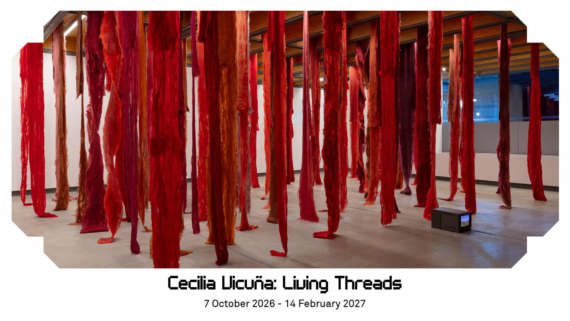 Cecilia vicuña LT homepge slider