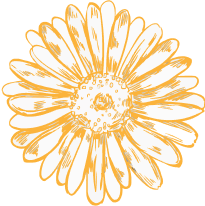 a yellow flower
