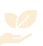 an illustration with hand and leaves