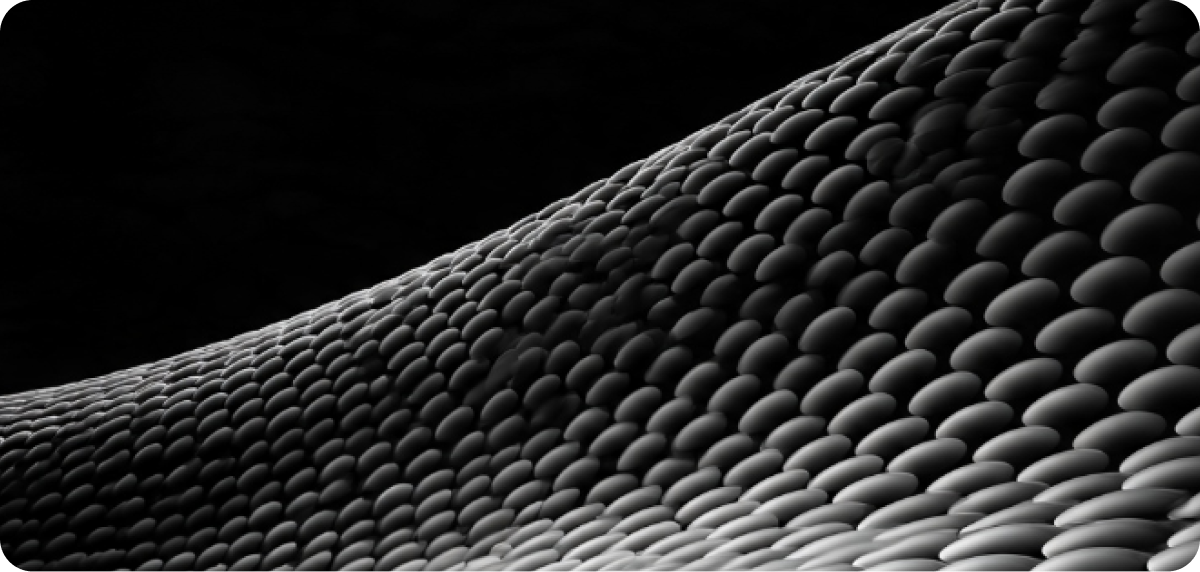 Insight image: technological, not just technical