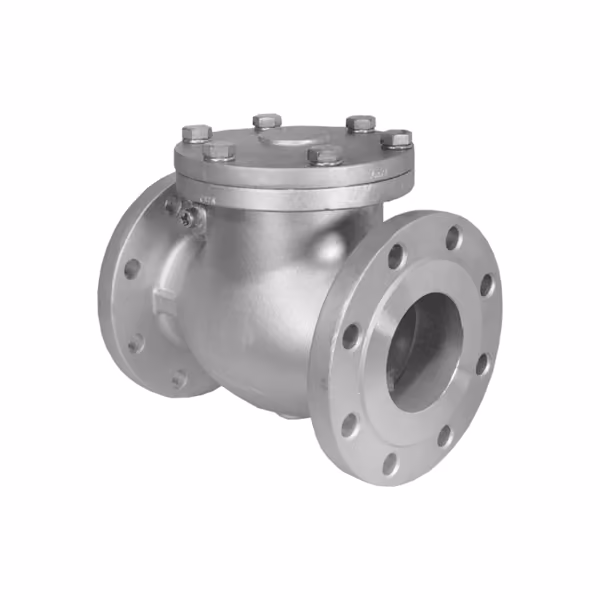Swing Check Valve