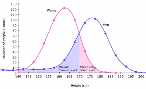 Graph 2