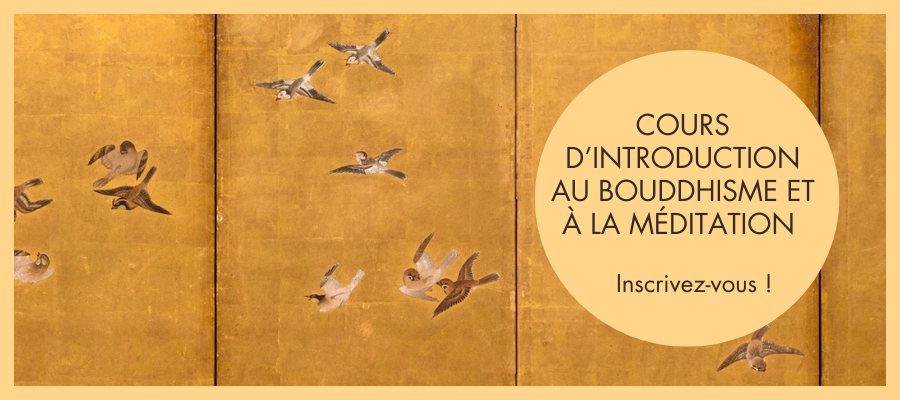 Cours d'introduction bouddhisme et méditation centre bouddhiste paris pleine conscience méditation sagesse bienveillance