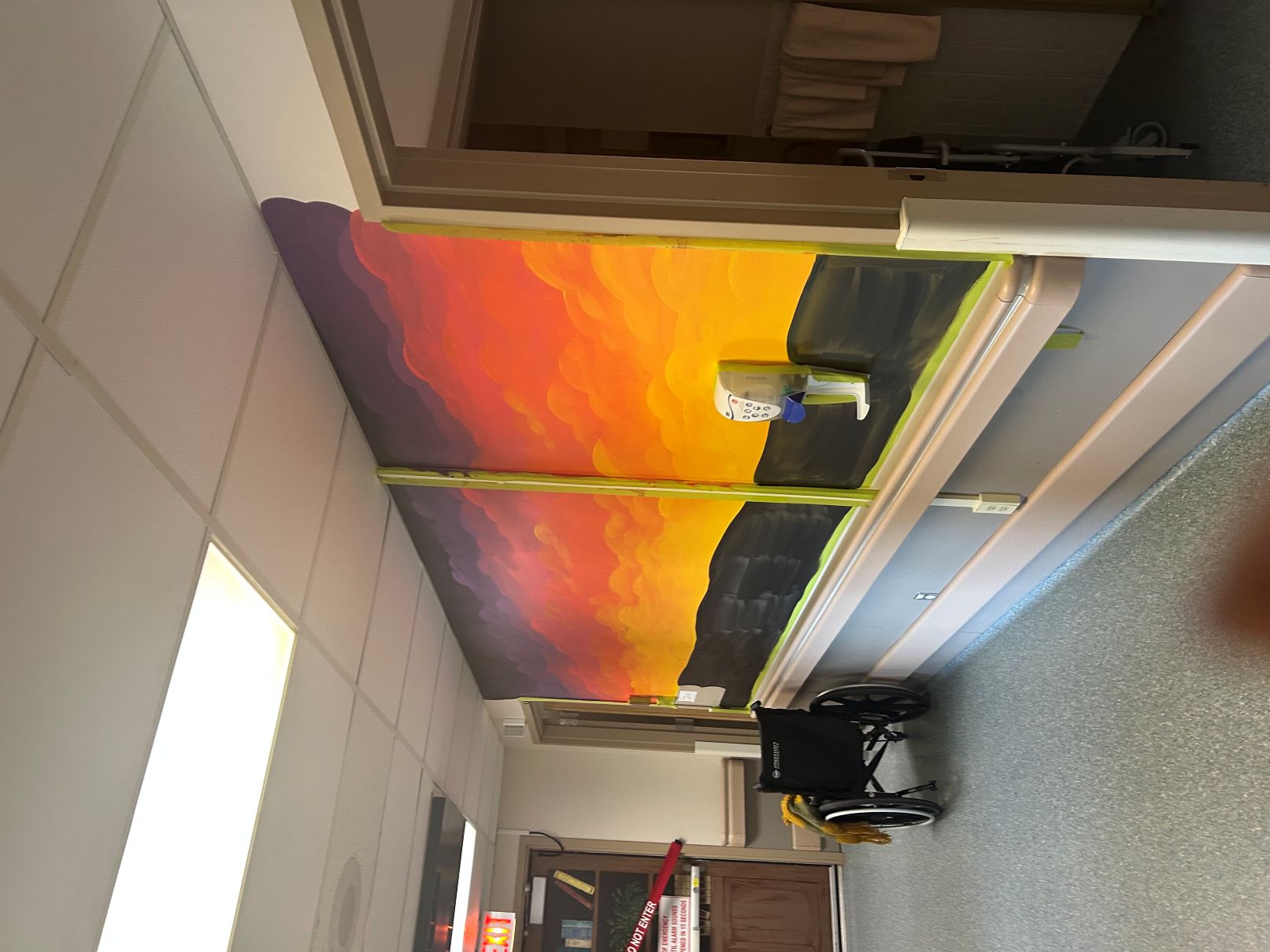 Murals for Continuing Care & Alfred Egan Home