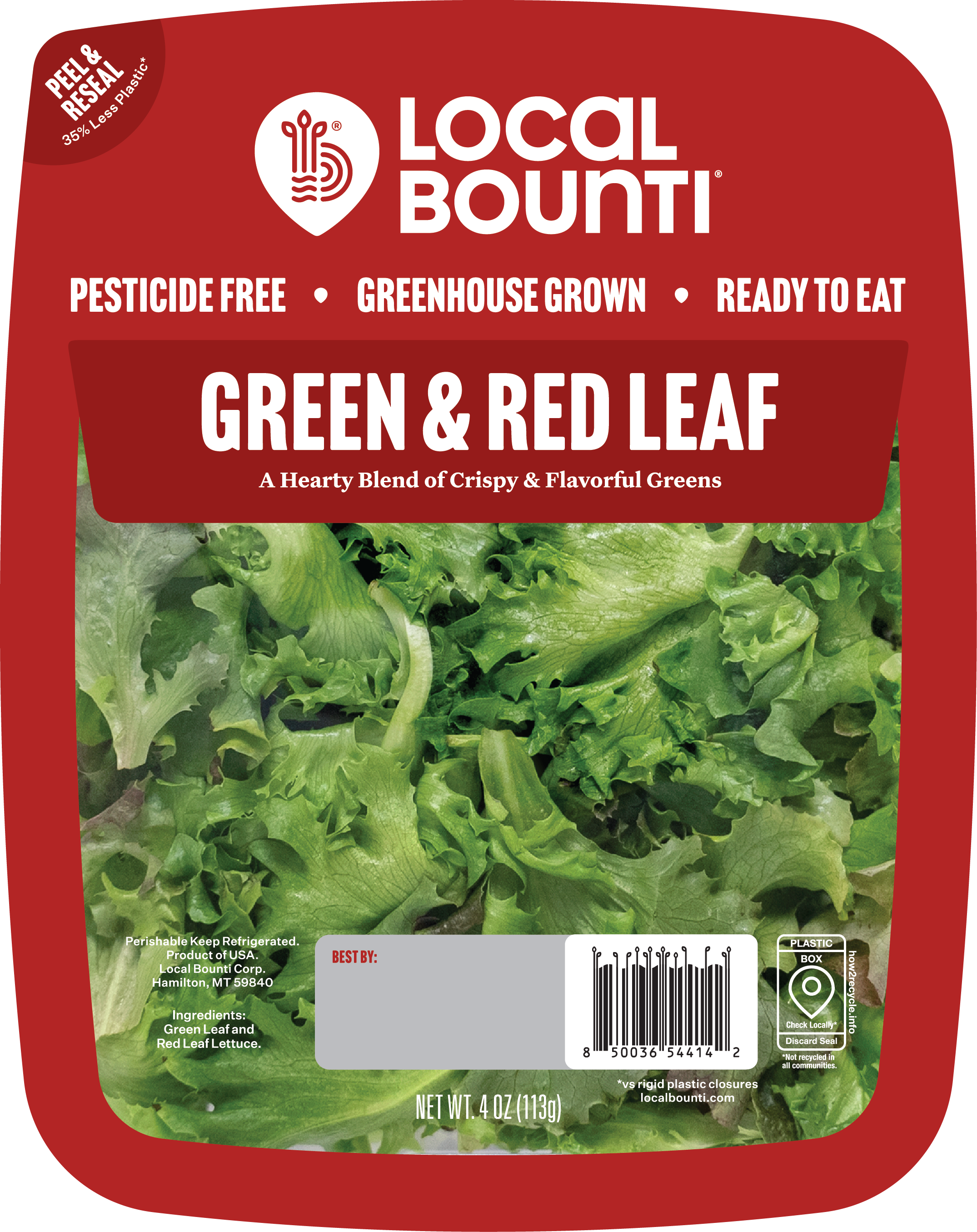 GREEN & RED LEAF
