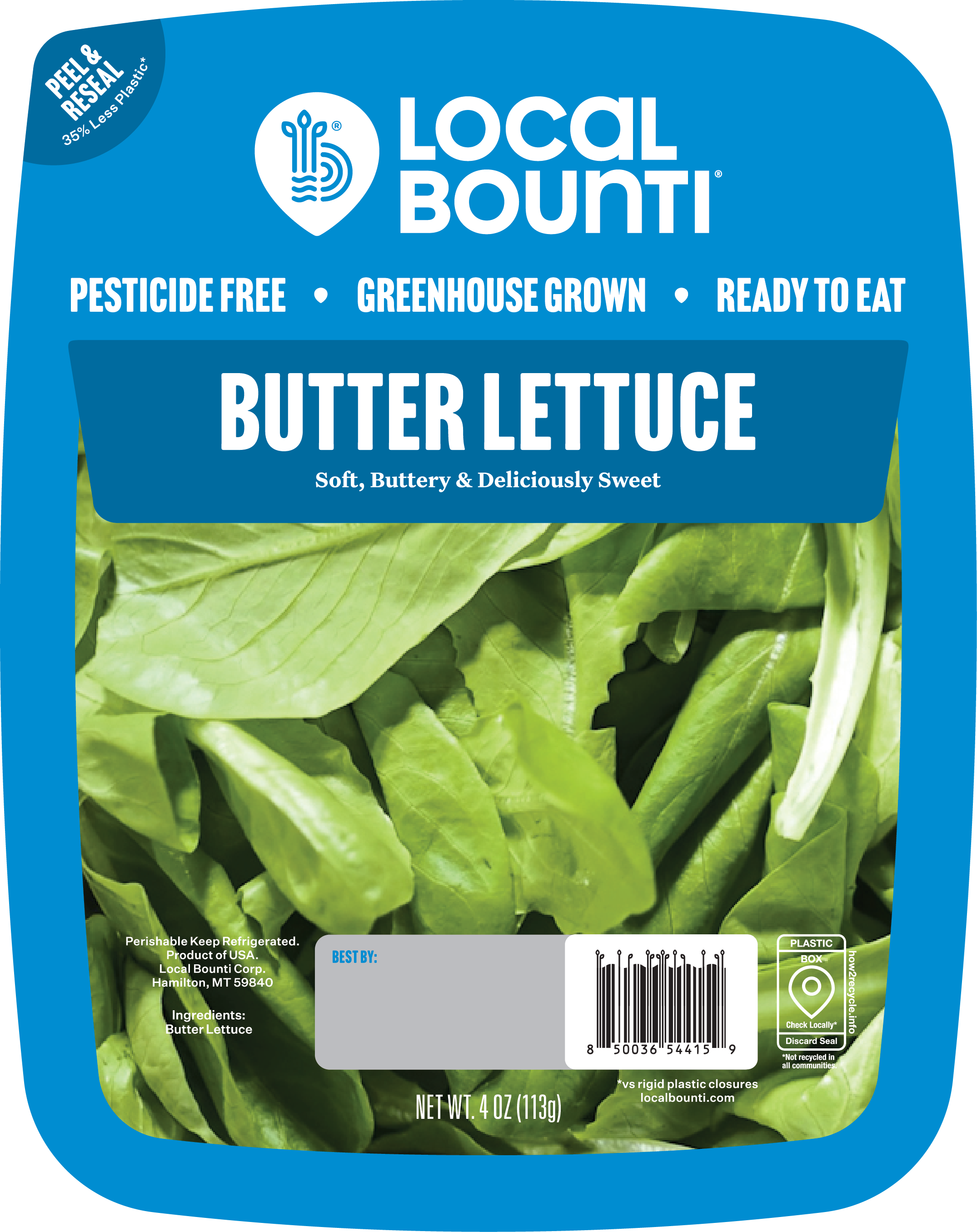 BUTTER LETTUCE