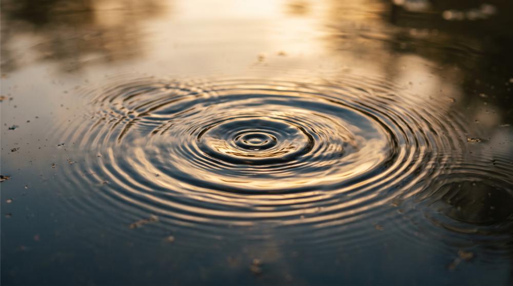 photograph of overlapping ripples in still water at close range, warm natural light reflecting off the surface