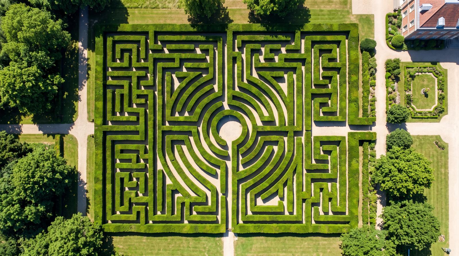 a hedge maze pattern from directly above