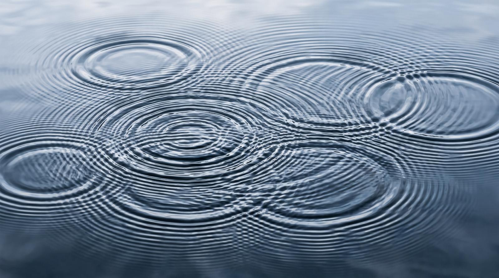 photograph of overlapping ripples spreading across still water in natural daylight