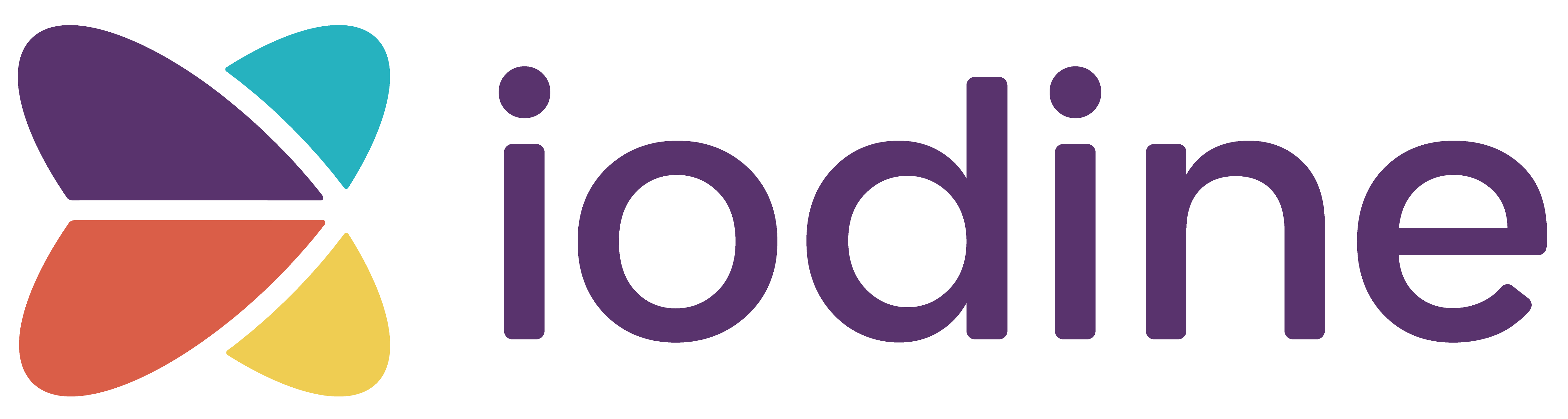 Director, Human Capital, Iodine Software