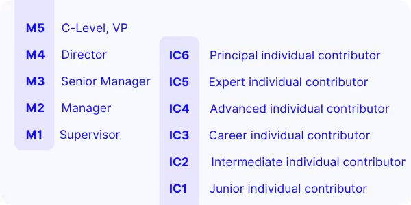 Job Leveling framework with career tracks (based on Radford)