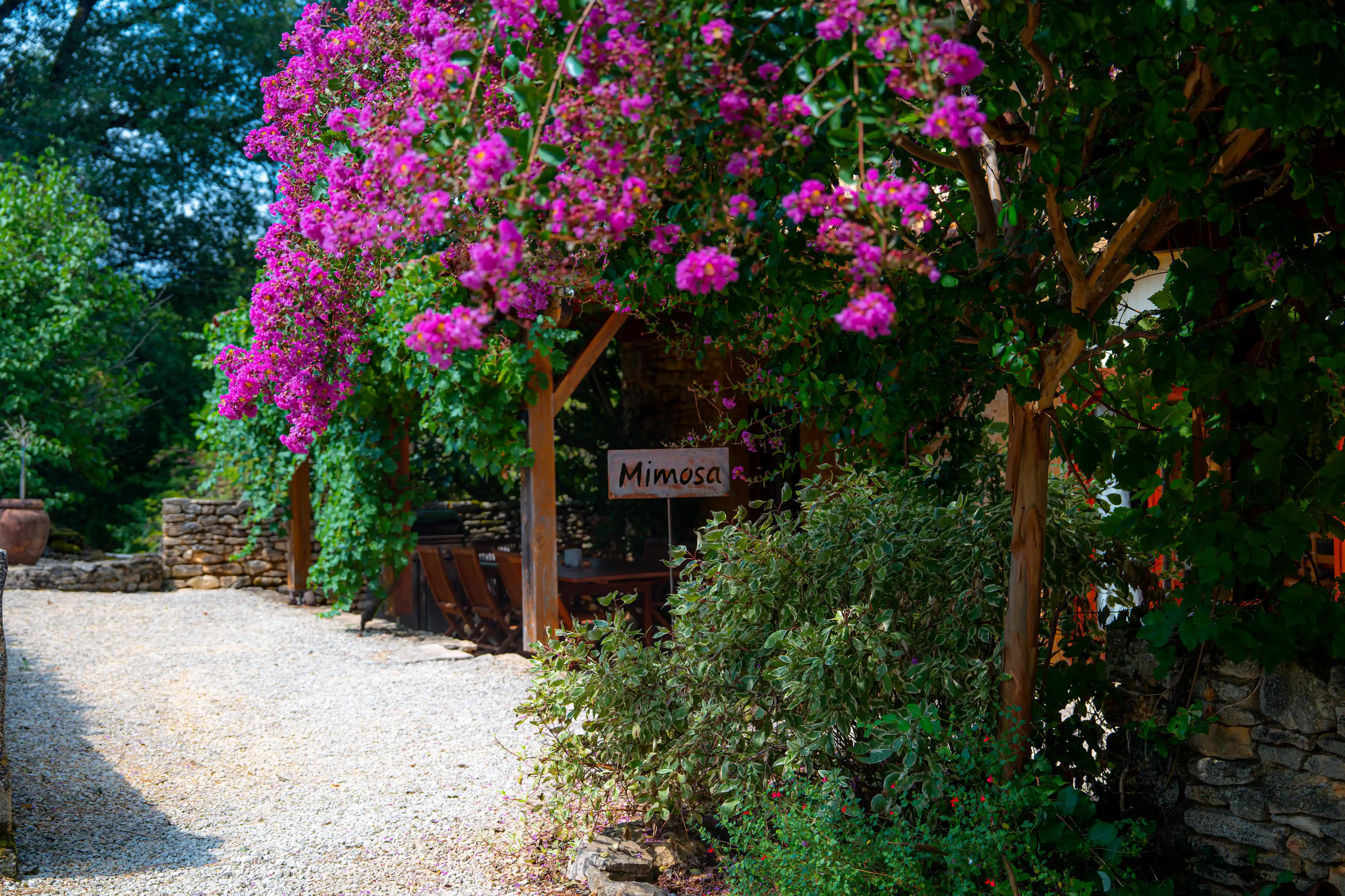 Photo de l'extérieur du gîte Mimosa de 8 personnes avec son bel arbre en fleur et le panneau en fer Mimosa.