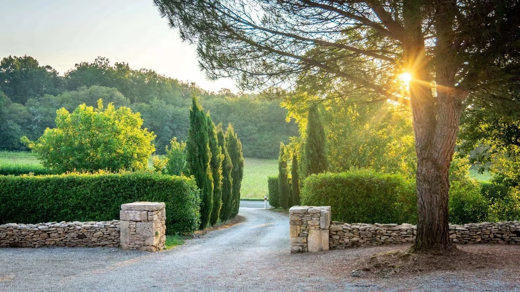 Photo de l'entrée du Domaine avec son allée de cyprès