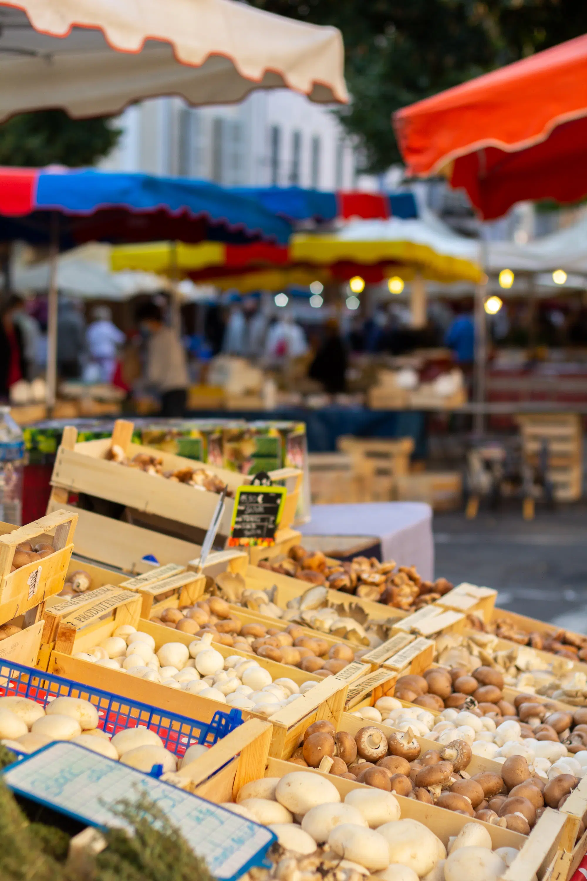 Photo du Marché de Cahors, Lot Tourisme. Crédit : Cyril Novello.