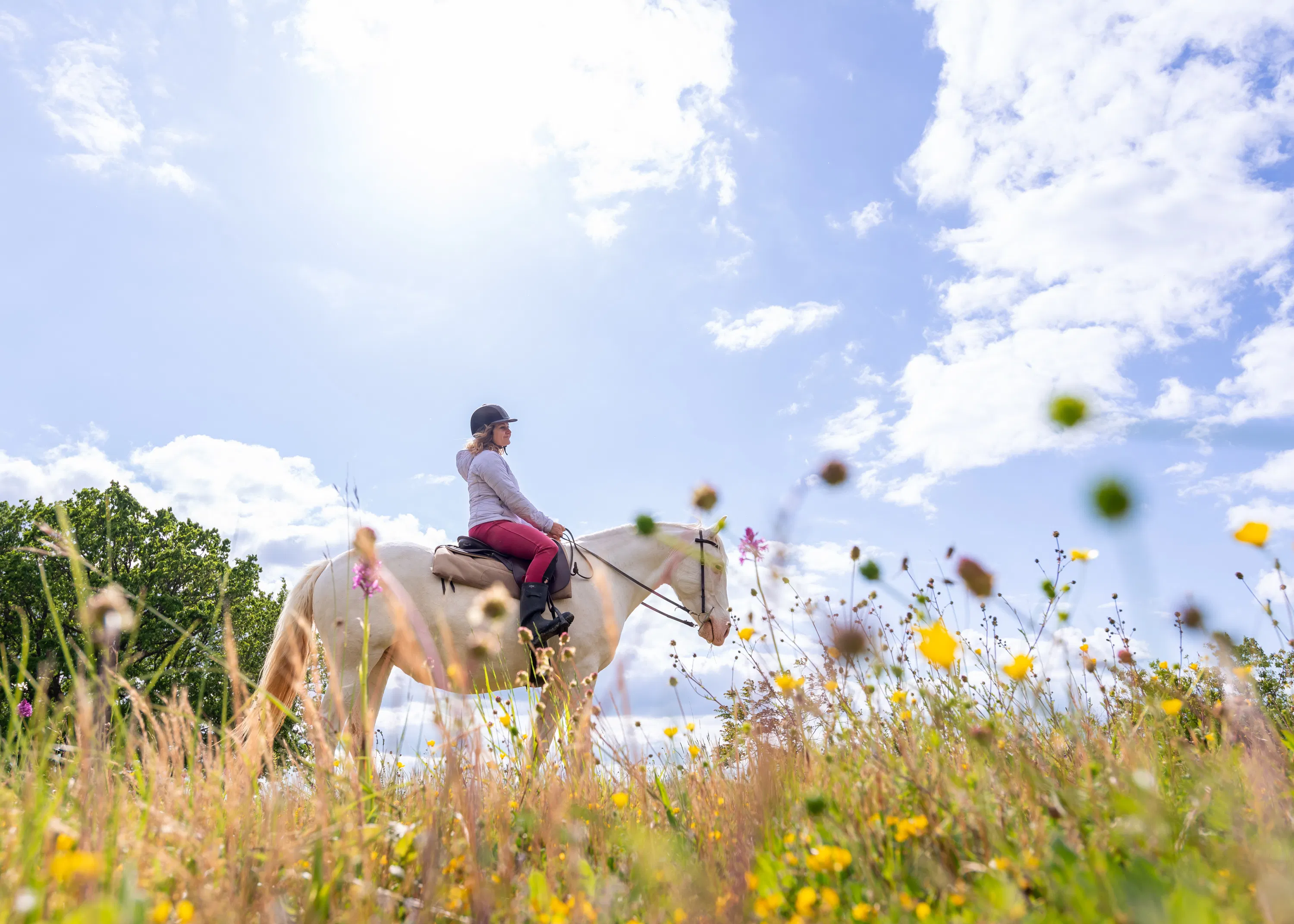 Photo d'une randonnée à cheval, Lot. Crédit : Marion Carcel