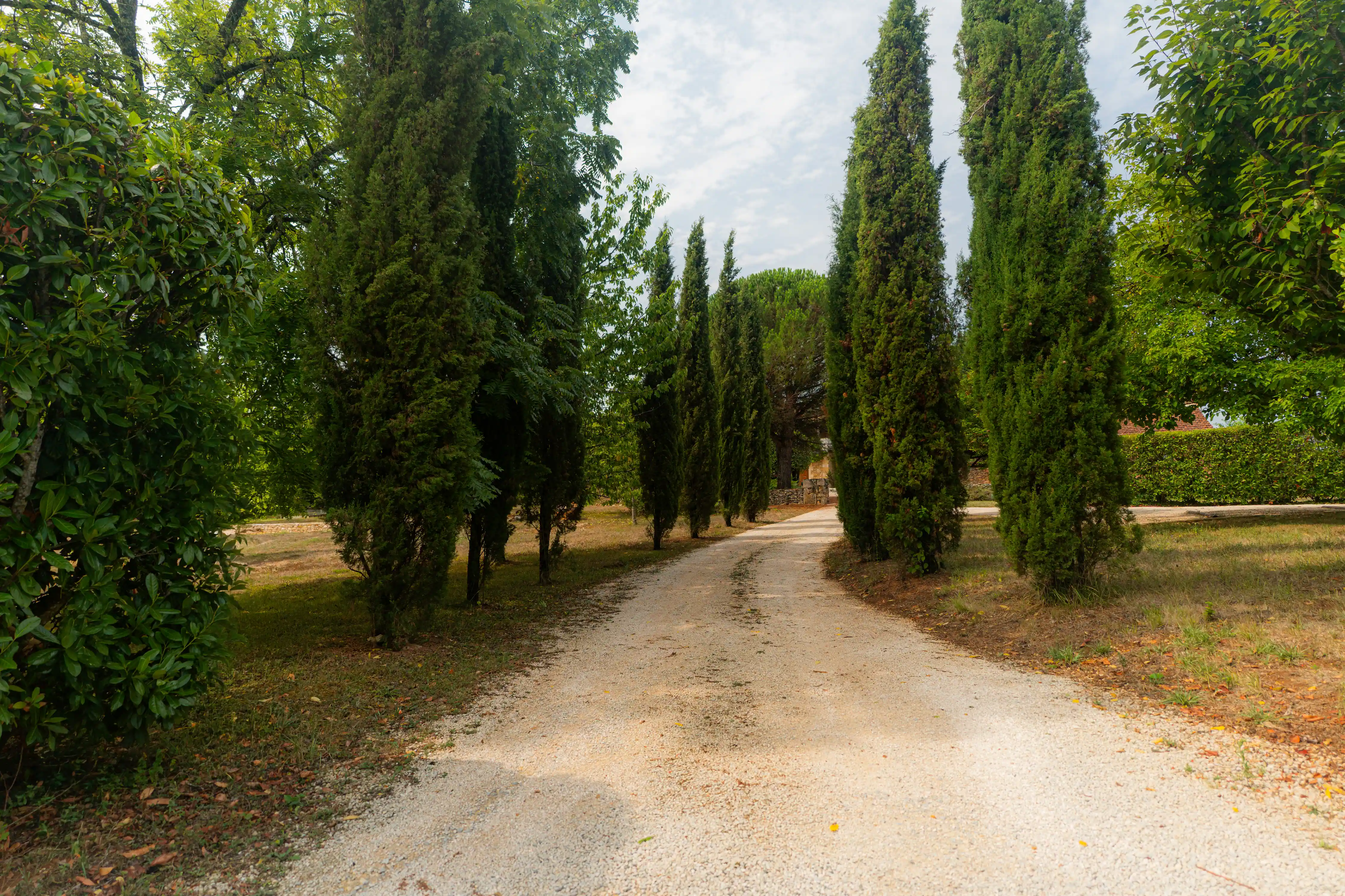 Photo de l'entrée du Domaine avec son allée de cyprès.