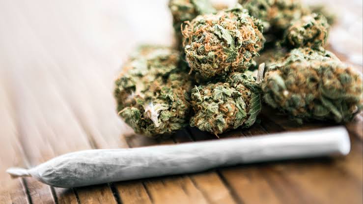 Possession of Hashish | Charges, Penalties & Bail Options