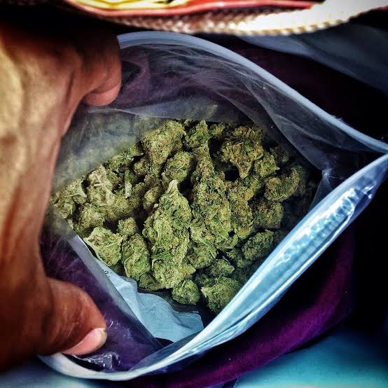 Sale of Marijuana