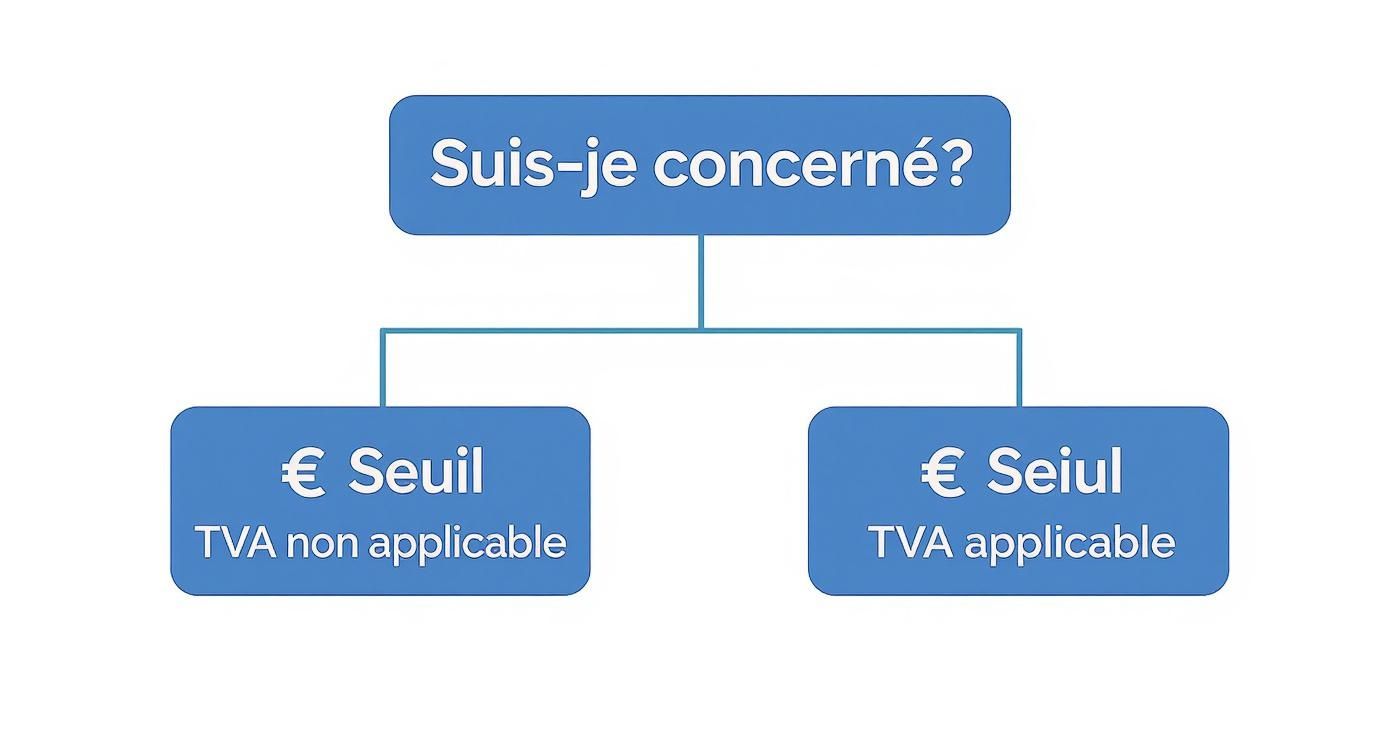 Infographic about tva non applicable