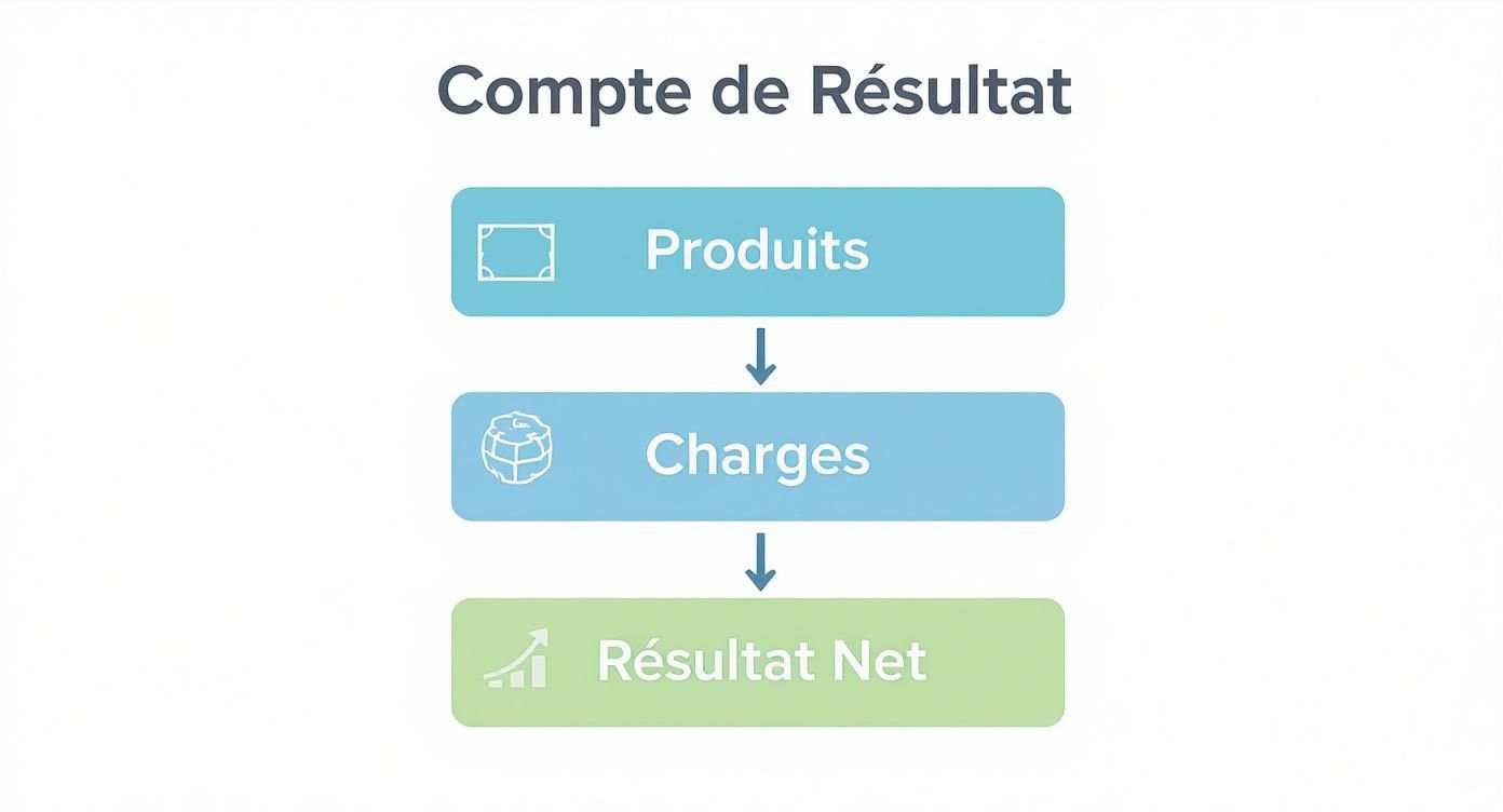 Infographic about compte de résultat excel
