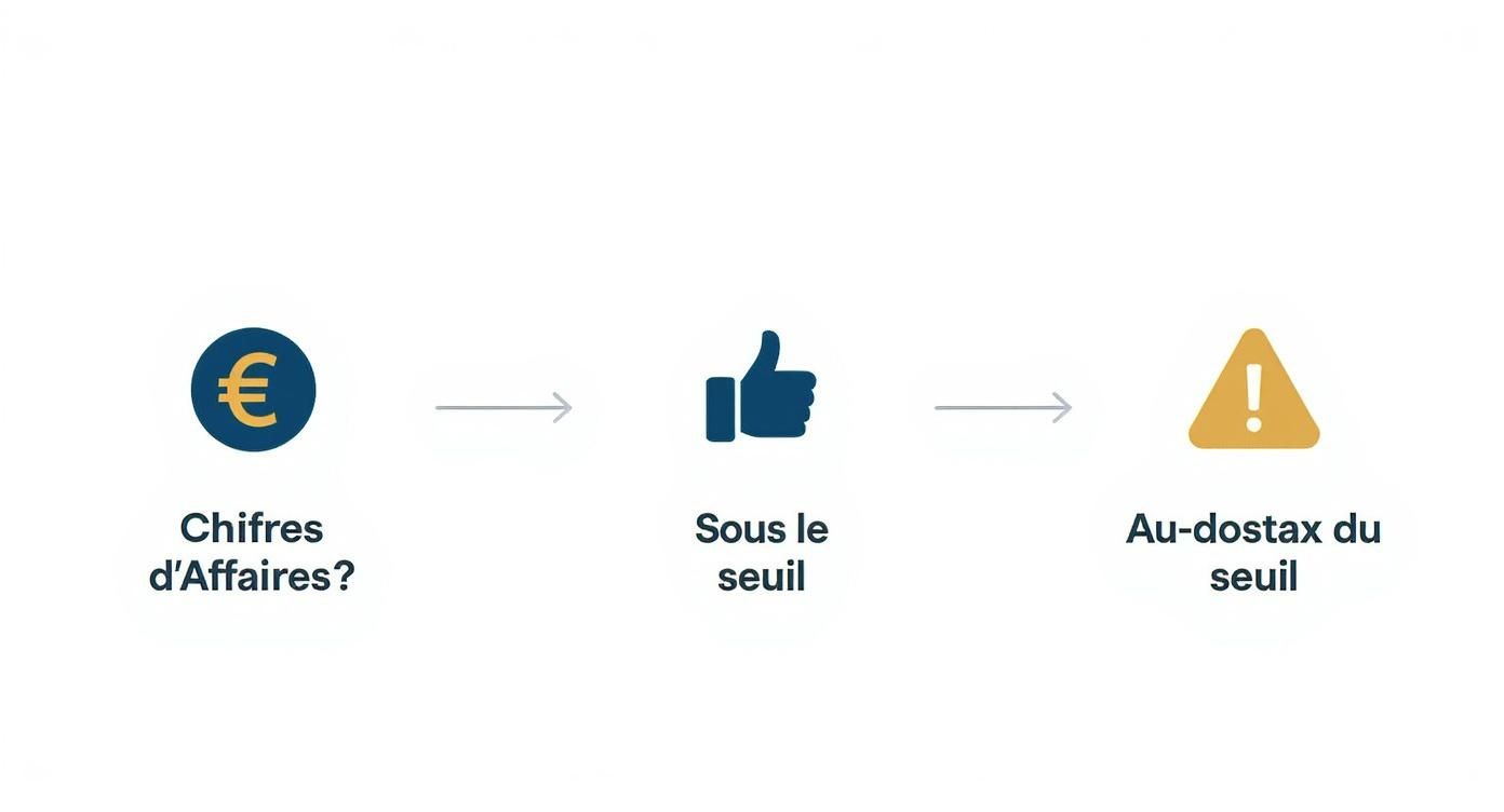 Infographic about modèle facture auto-entrepreneur sans tva