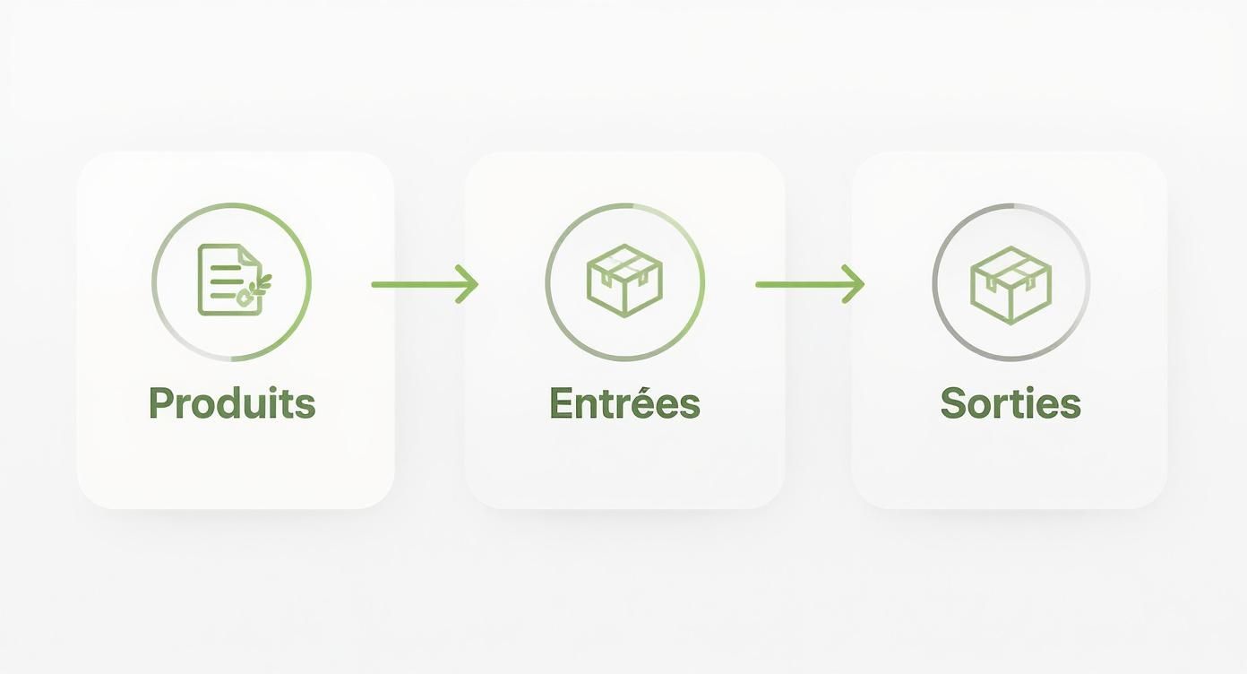 Infographie montrant le processus de gestion de stock en trois étapes : Produits, Entrées, et Sorties.