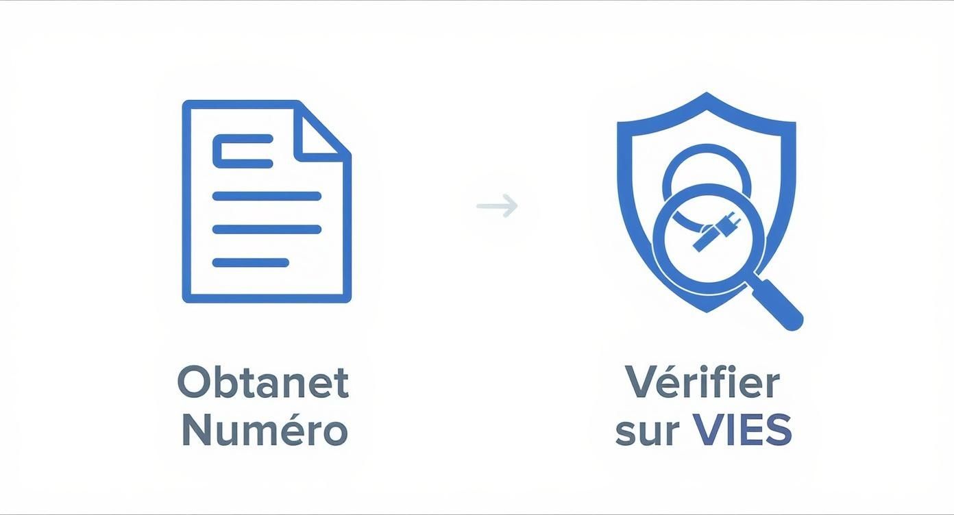 Infographie montrant le processus en deux étapes pour valider un numéro de TVA : l'obtenir, puis le vérifier sur le système VIES.
