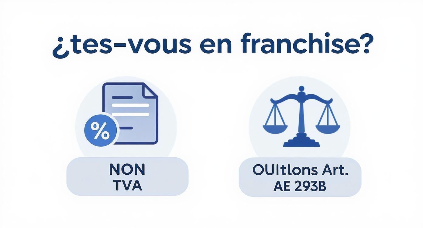 Graphique expliquant le statut TVA pour les auto-entrepreneurs, avec options « NON TVA » et « OUI, Article 293B ».