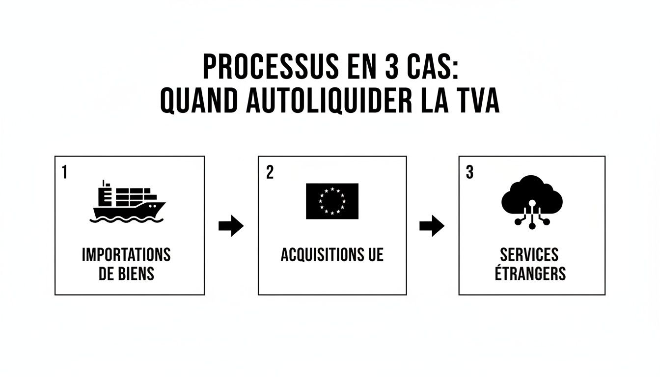 Infographie expliquant les trois cas où la TVA doit être autoliquidée : importations, acquisitions UE et services étrangers.