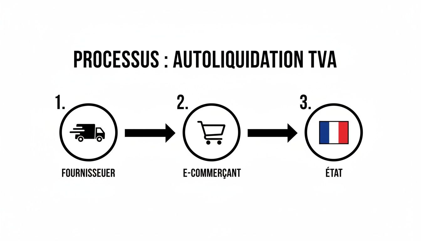 Schéma explicatif du processus d'autoliquidation de la TVA, illustrant les étapes entre le fournisseur, l'e-commerçant et l'État français.