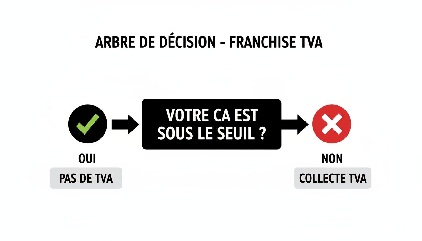 Diagramme de décision sur la franchise TVA : si le chiffre d'affaires est sous le seuil, pas de TVA; sinon, collecte TVA.