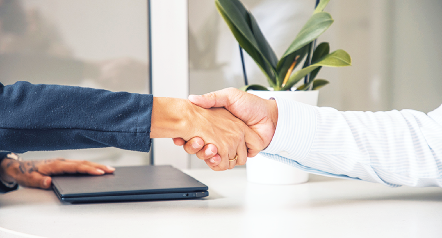 Zusammenarbeit zwischen Treuhänder und Mandant im Rahmen der digitalen Mandantenverwaltung