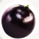 Jabuticaba