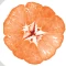 Sabor Tangerina