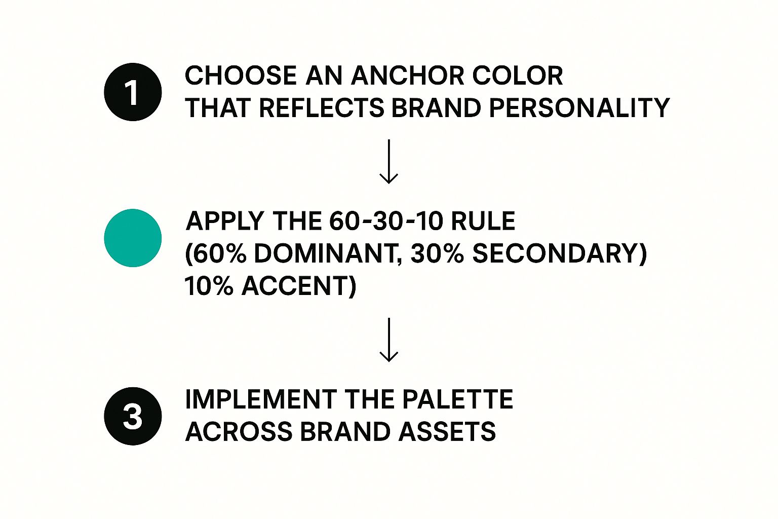 Infographic about how to create a color palette